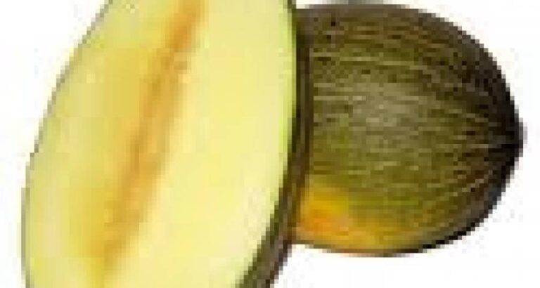 Melon