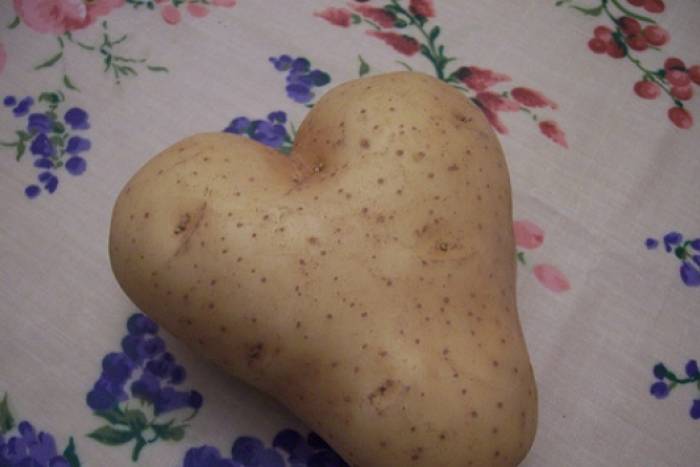 Puré de habas