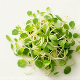 Brote de ensalada