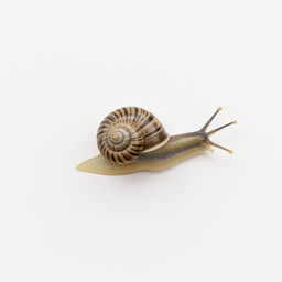 Caracol
