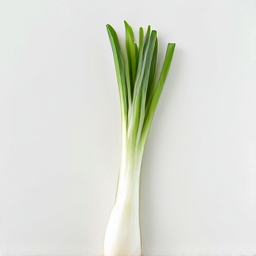 Cebolla larga