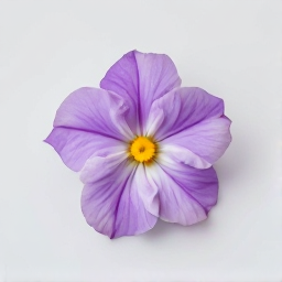Flor comestible