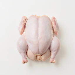 Gallo