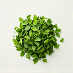 Té verde