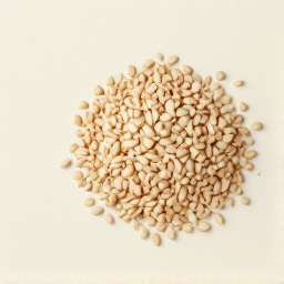 Semilla de sésamo